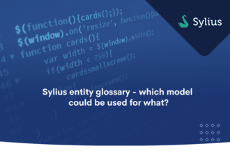 Sylius entity glossary - which model could be used for what